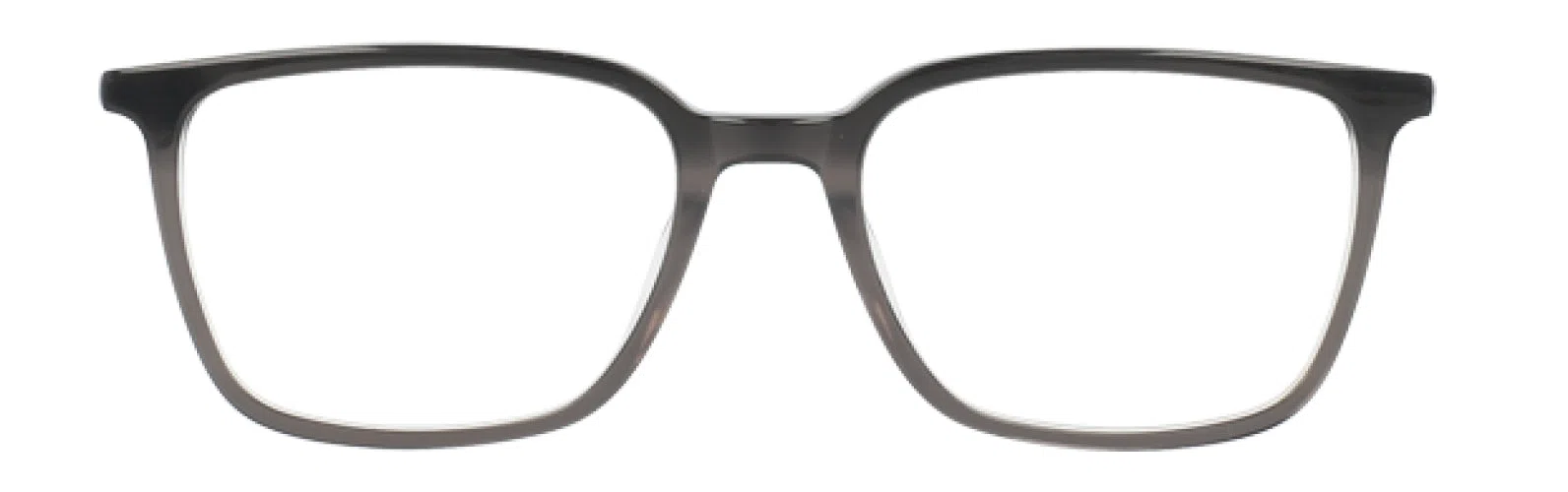 Randy Jackson RJ3058 Eyeglasses - view 4